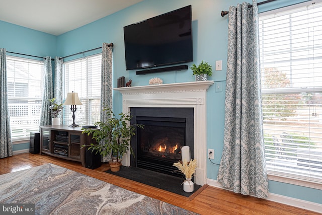 living room with hardwood / wood-style flooring and plenty of natural light