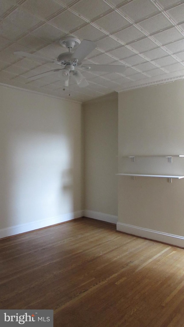 empty room with ceiling fan and hardwood / wood-style floors