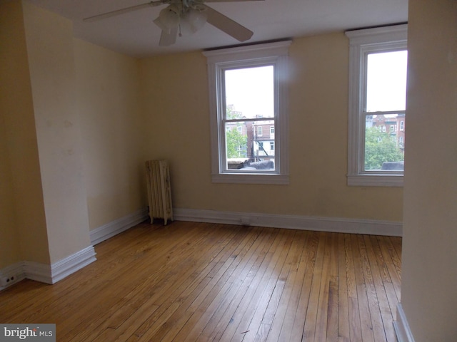 spare room with ceiling fan, radiator, light wood-type flooring, and plenty of natural light