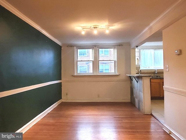 unfurnished room featuring rail lighting, light hardwood / wood-style floors, and ornamental molding