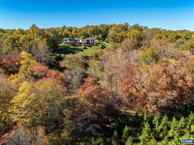 bird's eye view