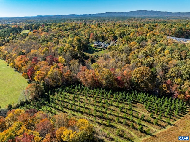 aerial view with a mountain view