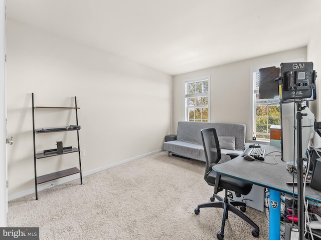 office featuring a wealth of natural light and carpet