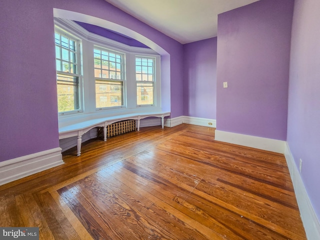 empty room with wood-type flooring and plenty of natural light