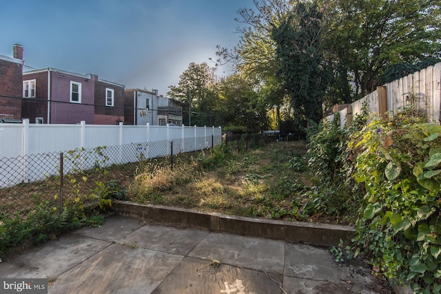 view of yard featuring a patio