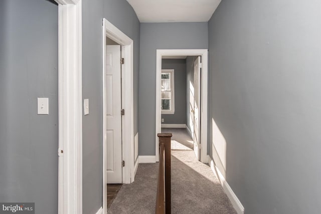 hallway with dark colored carpet