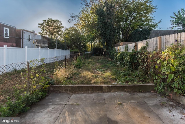 view of yard featuring a patio area