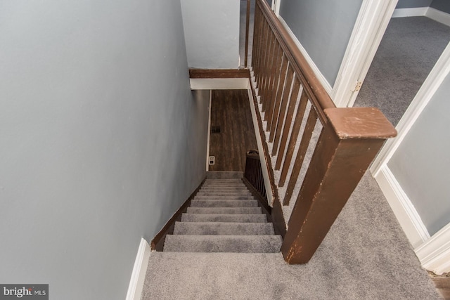 stairs with carpet floors