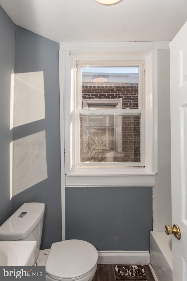 bathroom with hardwood / wood-style floors and toilet