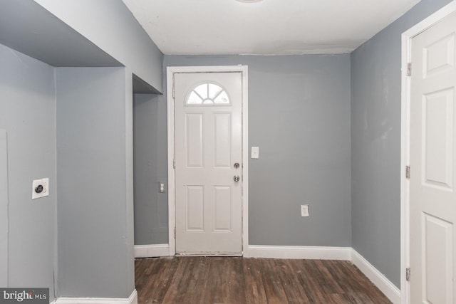 foyer entrance featuring dark wood-type flooring