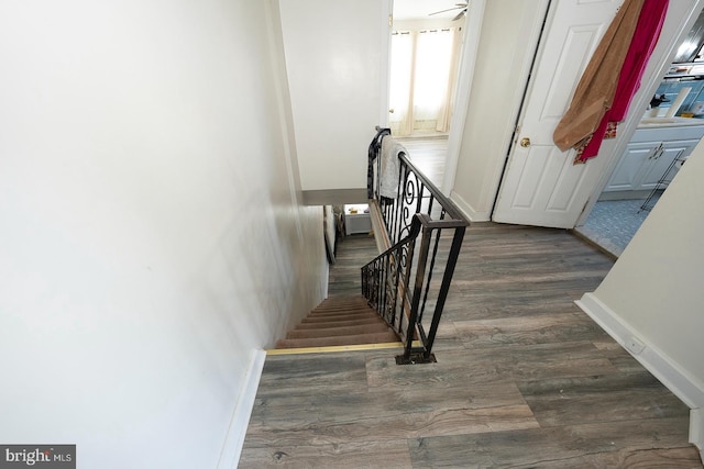 stairway with washer / dryer and hardwood / wood-style floors