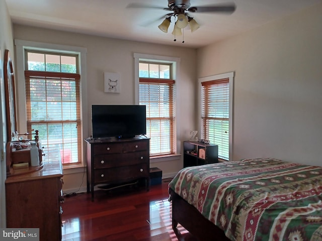 bedroom featuring ceiling fan and dark hardwood / wood-style flooring