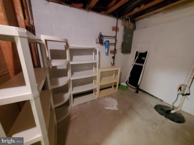 basement with electric panel