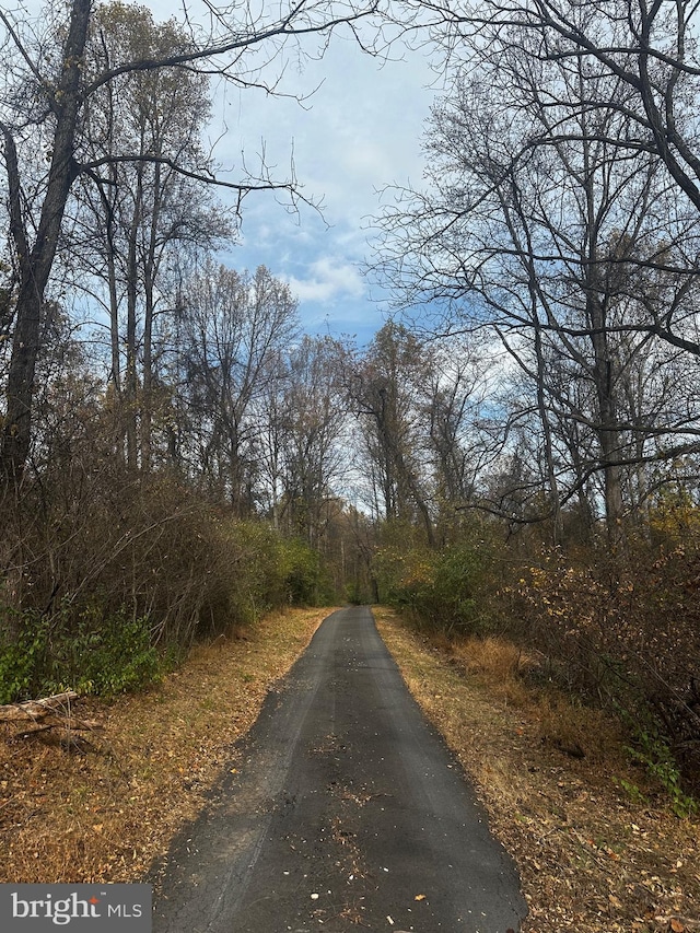 view of street