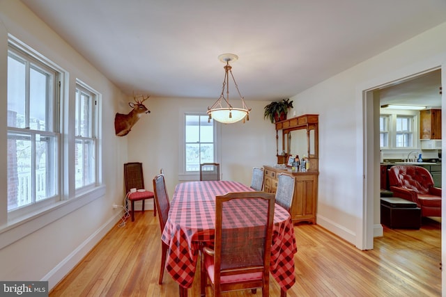 dining room featuring light hardwood / wood-style flooring