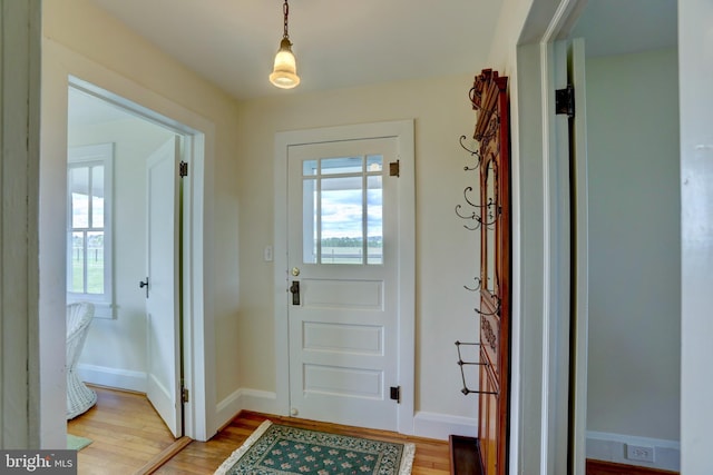 43086 Lucketts Rd, Leesburg, VA 20176 - doorway to outside featuring a wealth of natural light, baseboards, and light wood-type flooring