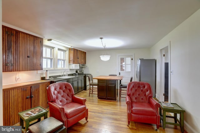 43086 Lucketts Rd, Leesburg, VA 20176 - interior space with light wood-type flooring and plenty of natural light
