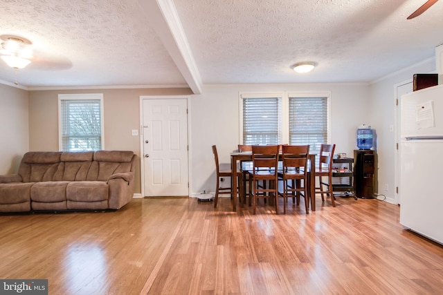 dining area with a textured ceiling, light hardwood / wood-style flooring, ceiling fan, and ornamental molding