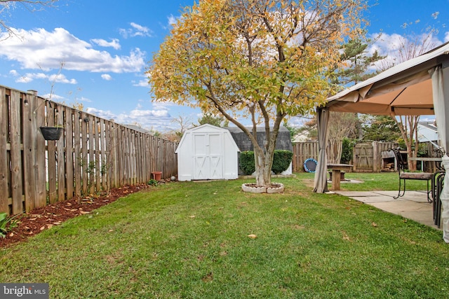 view of yard featuring a patio area and a storage shed