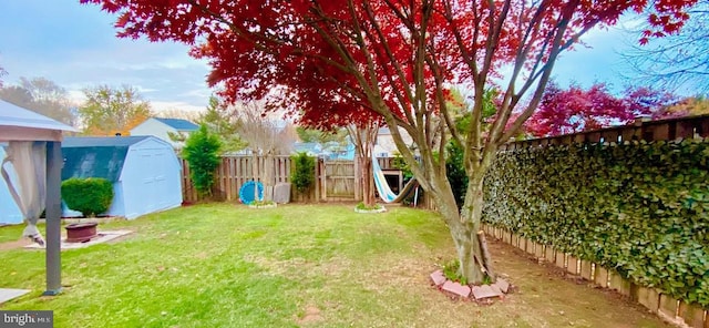 view of yard featuring a shed