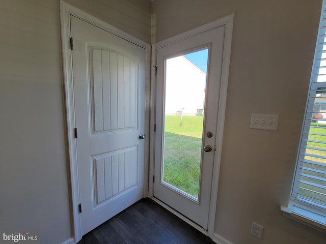 doorway featuring a wealth of natural light and dark hardwood / wood-style floors