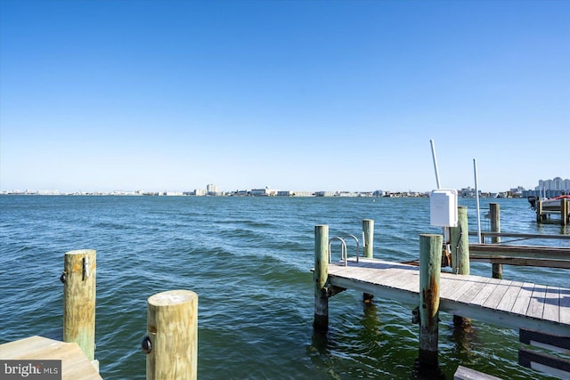 dock area with a water view