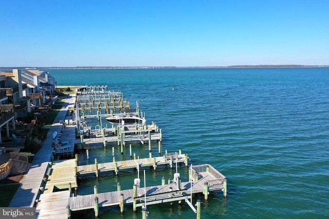 dock area with a water view