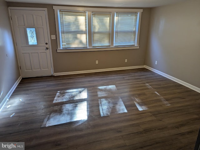 foyer entrance with dark wood-type flooring