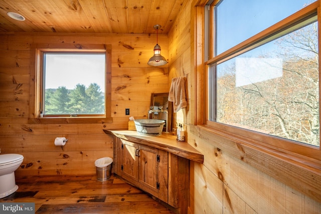 bathroom featuring hardwood / wood-style floors, a wealth of natural light, vanity, and toilet