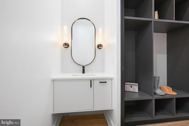 mudroom with wood-type flooring and sink