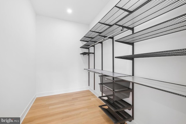 spacious closet featuring wood-type flooring