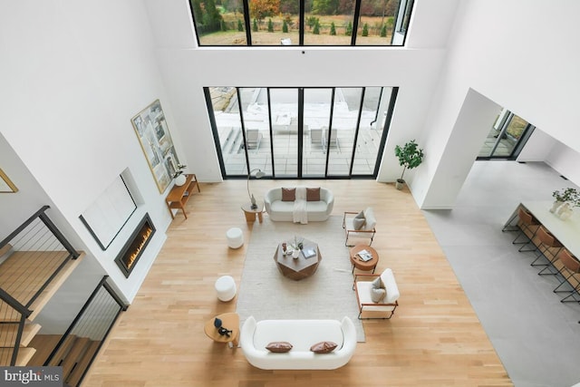 living room featuring a high ceiling and wood-type flooring