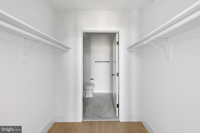 spacious closet featuring wood-type flooring