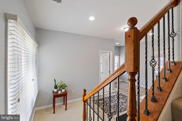 stairs featuring carpet floors