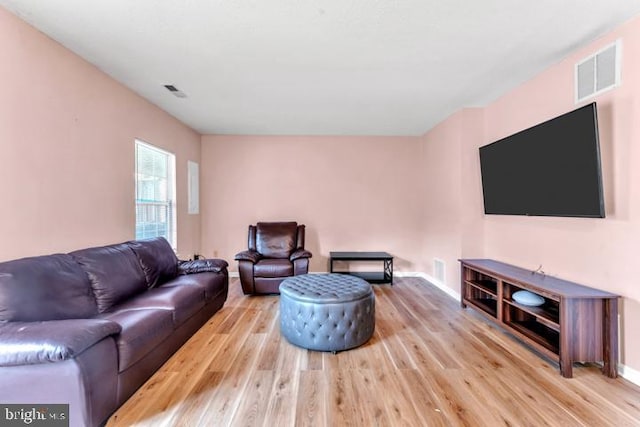 living room with light wood-type flooring