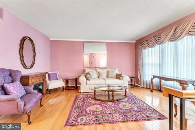 living room featuring wood-type flooring, ornamental molding, and a textured ceiling