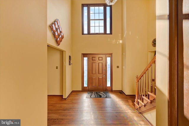 foyer entrance with a high ceiling and wood-type flooring