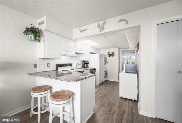 kitchen featuring dark stone counters, dark hardwood / wood-style floors, white cabinetry, appliances with stainless steel finishes, and premium range hood