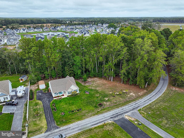 bird's eye view