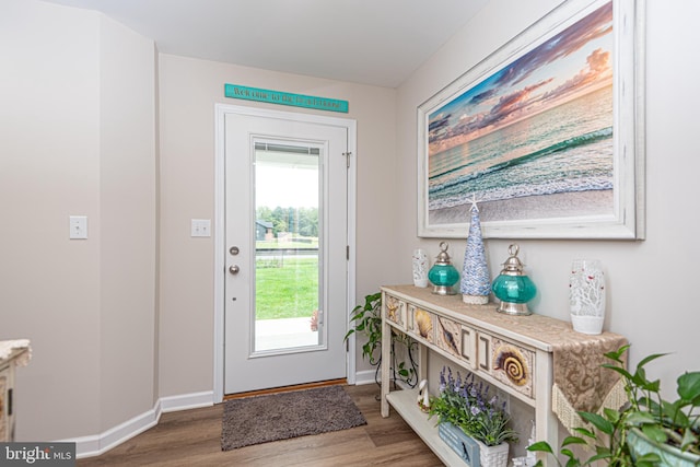 doorway to outside with hardwood / wood-style flooring and plenty of natural light