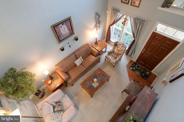 living room featuring a high ceiling