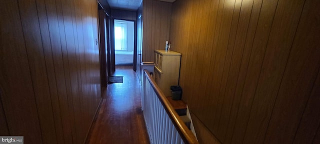 hall featuring dark wood-type flooring and wooden walls