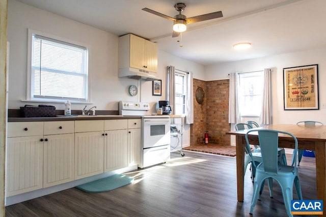 kitchen with white electric stove, dark wood-type flooring, and plenty of natural light