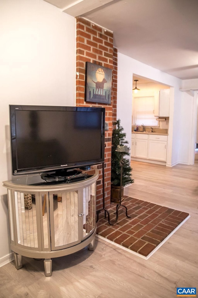 room details with sink and hardwood / wood-style floors