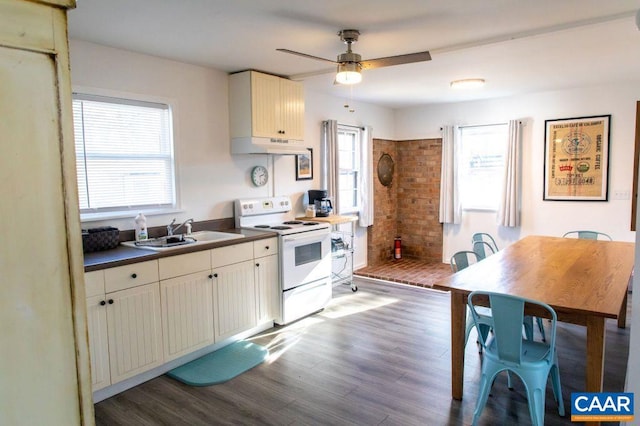 kitchen featuring sink, ceiling fan, dark wood-type flooring, and white electric stove