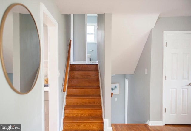 stairway with hardwood / wood-style flooring