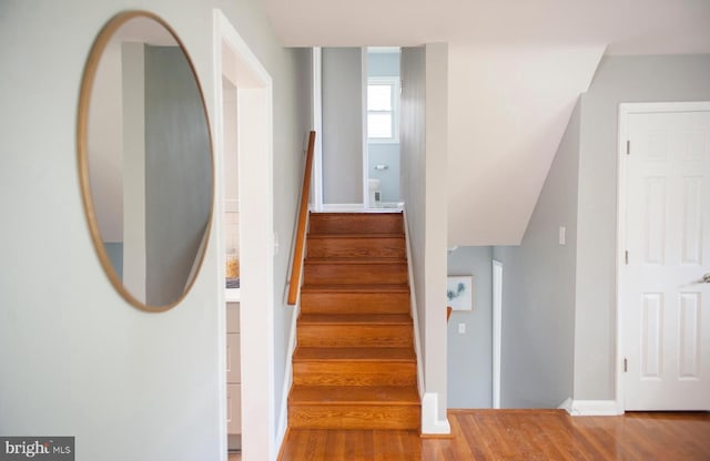 stairs with hardwood / wood-style flooring