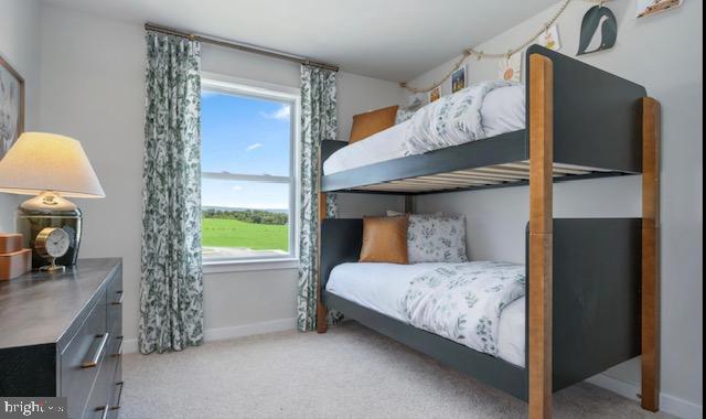 bedroom featuring carpet