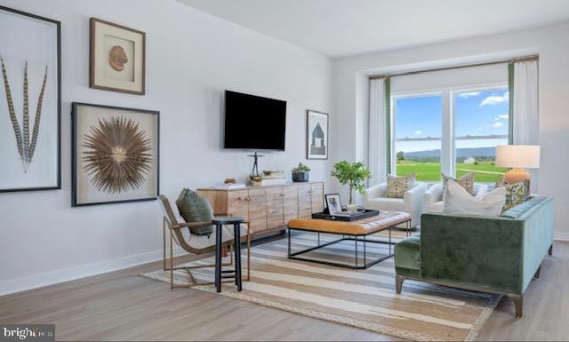 living room featuring light hardwood / wood-style floors