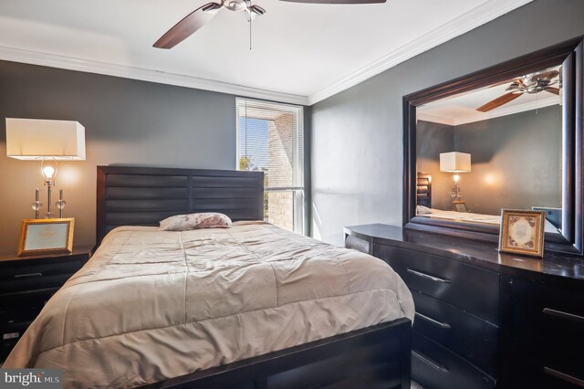 bedroom with ceiling fan and ornamental molding